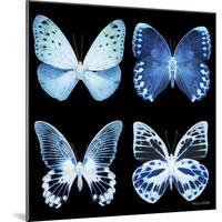 Miss Butterfly X-Ray Black Square-Philippe Hugonnard-Mounted Photographic Print