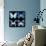 Miss Butterfly X-Ray Black Square-Philippe Hugonnard-Photographic Print displayed on a wall