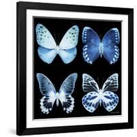 Miss Butterfly X-Ray Black Square-Philippe Hugonnard-Framed Photographic Print