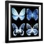 Miss Butterfly X-Ray Black Square-Philippe Hugonnard-Framed Photographic Print