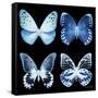 Miss Butterfly X-Ray Black Square-Philippe Hugonnard-Framed Stretched Canvas