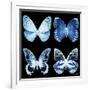 Miss Butterfly X-Ray Black Square-Philippe Hugonnard-Framed Photographic Print