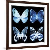 Miss Butterfly X-Ray Black Square-Philippe Hugonnard-Framed Photographic Print