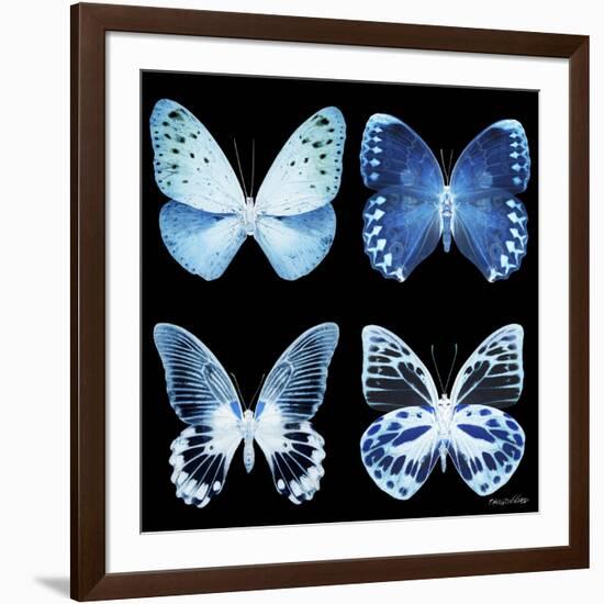 Miss Butterfly X-Ray Black Square-Philippe Hugonnard-Framed Photographic Print