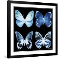 Miss Butterfly X-Ray Black Square-Philippe Hugonnard-Framed Photographic Print