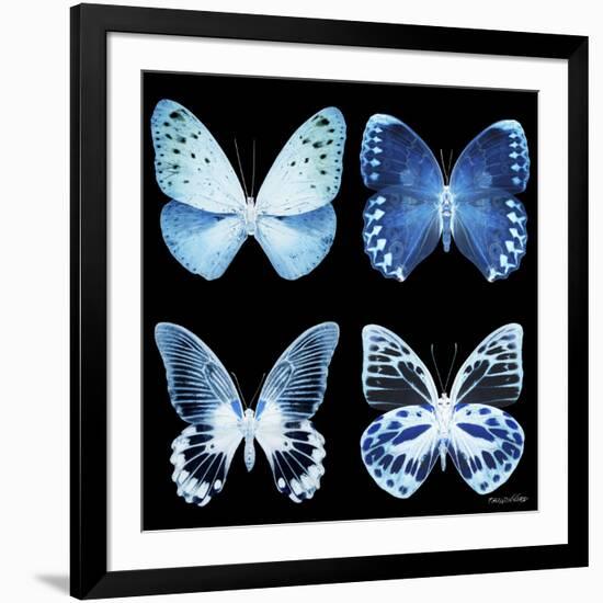 Miss Butterfly X-Ray Black Square-Philippe Hugonnard-Framed Photographic Print