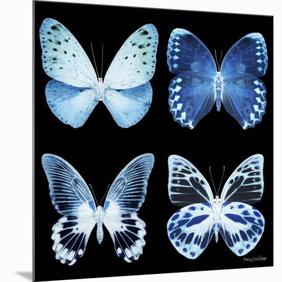 Miss Butterfly X-Ray Black Square-Philippe Hugonnard-Mounted Photographic Print