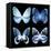 Miss Butterfly X-Ray Black Square-Philippe Hugonnard-Framed Stretched Canvas