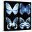 Miss Butterfly X-Ray Black Square-Philippe Hugonnard-Stretched Canvas