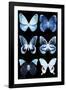 Miss Butterfly X-Ray Black-Philippe Hugonnard-Framed Photographic Print