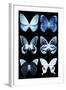 Miss Butterfly X-Ray Black-Philippe Hugonnard-Framed Photographic Print