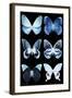 Miss Butterfly X-Ray Black-Philippe Hugonnard-Framed Photographic Print