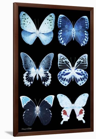 Miss Butterfly X-Ray Black-Philippe Hugonnard-Framed Photographic Print