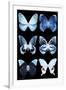 Miss Butterfly X-Ray Black-Philippe Hugonnard-Framed Premium Photographic Print