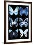 Miss Butterfly X-Ray Black-Philippe Hugonnard-Framed Premium Photographic Print