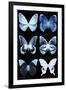 Miss Butterfly X-Ray Black-Philippe Hugonnard-Framed Premium Photographic Print