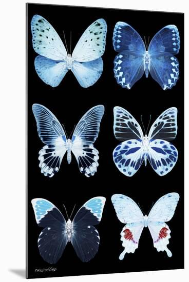 Miss Butterfly X-Ray Black-Philippe Hugonnard-Mounted Premium Photographic Print