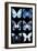 Miss Butterfly X-Ray Black-Philippe Hugonnard-Framed Photographic Print