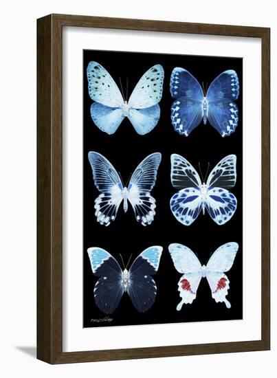 Miss Butterfly X-Ray Black-Philippe Hugonnard-Framed Photographic Print