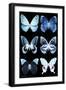 Miss Butterfly X-Ray Black-Philippe Hugonnard-Framed Photographic Print