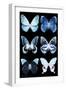 Miss Butterfly X-Ray Black-Philippe Hugonnard-Framed Photographic Print