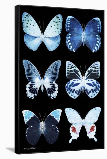 Miss Butterfly X-Ray Black-Philippe Hugonnard-Framed Stretched Canvas