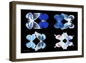 Miss Butterfly X-Ray Duo Black II-Philippe Hugonnard-Framed Photographic Print