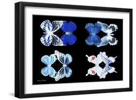 Miss Butterfly X-Ray Duo Black II-Philippe Hugonnard-Framed Photographic Print