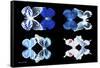 Miss Butterfly X-Ray Duo Black II-Philippe Hugonnard-Framed Stretched Canvas