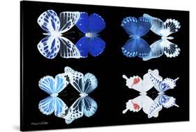 Miss Butterfly X-Ray Duo Black II-Philippe Hugonnard-Stretched Canvas