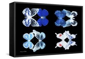 Miss Butterfly X-Ray Duo Black II-Philippe Hugonnard-Framed Stretched Canvas