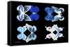 Miss Butterfly X-Ray Duo Black II-Philippe Hugonnard-Framed Stretched Canvas