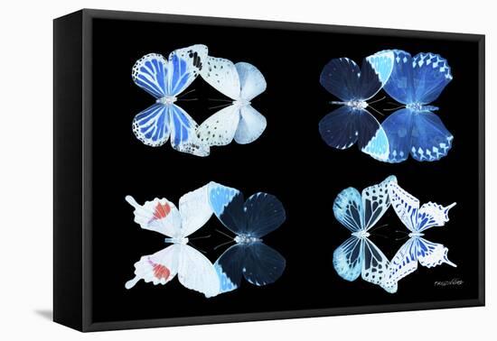 Miss Butterfly X-Ray Duo Black III-Philippe Hugonnard-Framed Stretched Canvas