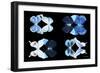 Miss Butterfly X-Ray Duo Black III-Philippe Hugonnard-Framed Photographic Print