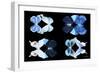 Miss Butterfly X-Ray Duo Black III-Philippe Hugonnard-Framed Photographic Print