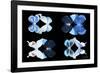 Miss Butterfly X-Ray Duo Black III-Philippe Hugonnard-Framed Photographic Print