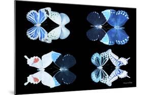 Miss Butterfly X-Ray Duo Black III-Philippe Hugonnard-Mounted Photographic Print