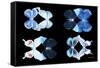 Miss Butterfly X-Ray Duo Black III-Philippe Hugonnard-Framed Stretched Canvas