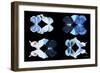 Miss Butterfly X-Ray Duo Black III-Philippe Hugonnard-Framed Photographic Print