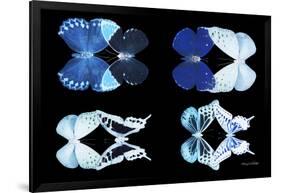 Miss Butterfly X-Ray Duo Black IV-Philippe Hugonnard-Framed Photographic Print