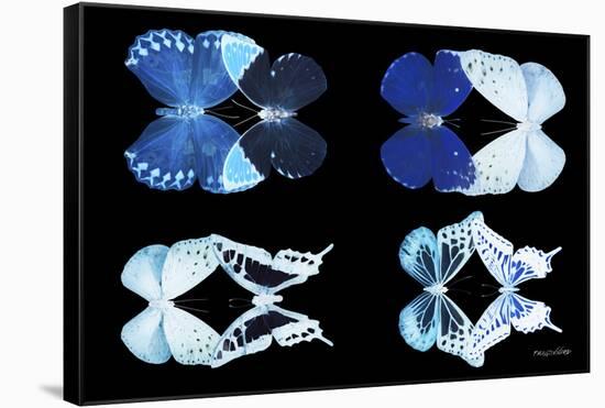 Miss Butterfly X-Ray Duo Black IV-Philippe Hugonnard-Framed Stretched Canvas