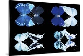 Miss Butterfly X-Ray Duo Black IV-Philippe Hugonnard-Stretched Canvas