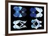 Miss Butterfly X-Ray Duo Black IV-Philippe Hugonnard-Framed Photographic Print