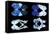 Miss Butterfly X-Ray Duo Black IV-Philippe Hugonnard-Framed Stretched Canvas