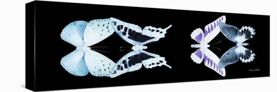Miss Butterfly X-Ray Duo Black Pano II-Philippe Hugonnard-Stretched Canvas