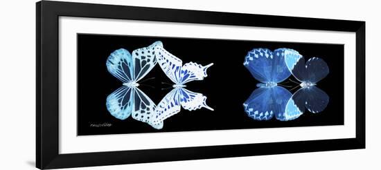 Miss Butterfly X-Ray Duo Black Pano III-Philippe Hugonnard-Framed Photographic Print