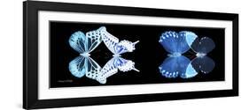 Miss Butterfly X-Ray Duo Black Pano III-Philippe Hugonnard-Framed Photographic Print