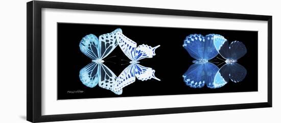 Miss Butterfly X-Ray Duo Black Pano III-Philippe Hugonnard-Framed Photographic Print