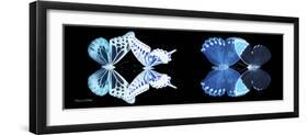 Miss Butterfly X-Ray Duo Black Pano III-Philippe Hugonnard-Framed Photographic Print