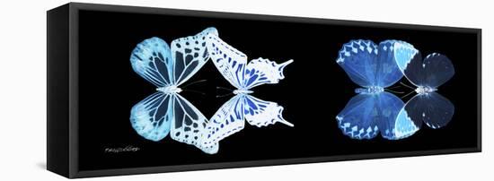 Miss Butterfly X-Ray Duo Black Pano III-Philippe Hugonnard-Framed Stretched Canvas